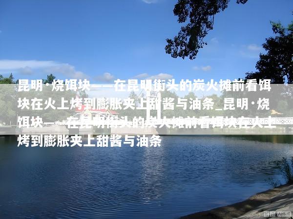 昆明·烧饵块——在昆明街头的炭火摊前看饵块在火上烤到膨胀夹上甜酱与油条_昆明·烧饵块——在昆明街头的炭火摊前看饵块在火上烤到膨胀夹上甜酱与油条