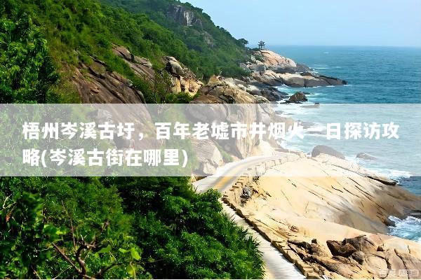 梧州岑溪古圩，百年老墟市井烟火一日探访攻略(岑溪古街在哪里)