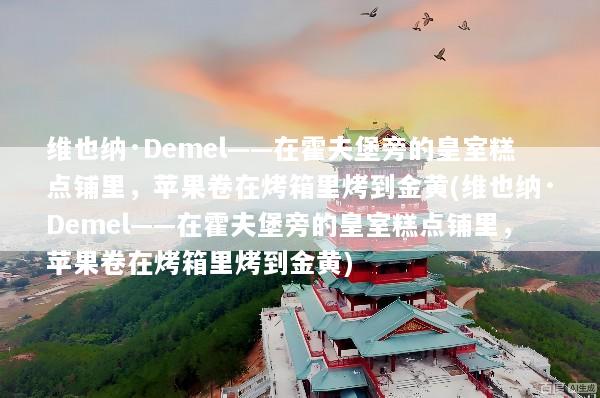 维也纳·Demel——在霍夫堡旁的皇室糕点铺里，苹果卷在烤箱里烤到金黄(维也纳·Demel——在霍夫堡旁的皇室糕点铺里，苹果卷在烤箱里烤到金黄)