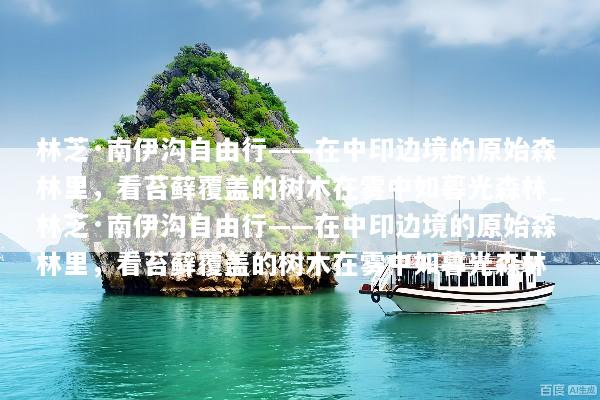 林芝·南伊沟自由行——在中印边境的原始森林里，看苔藓覆盖的树木在雾中如暮光森林_林芝·南伊沟自由行——在中印边境的原始森林里，看苔藓覆盖的树木在雾中如暮光森林
