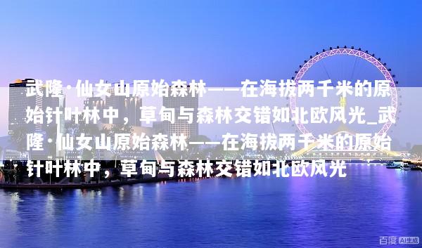 文章配图