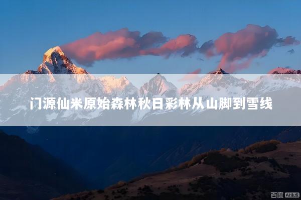 门源仙米原始森林秋日彩林从山脚到雪线