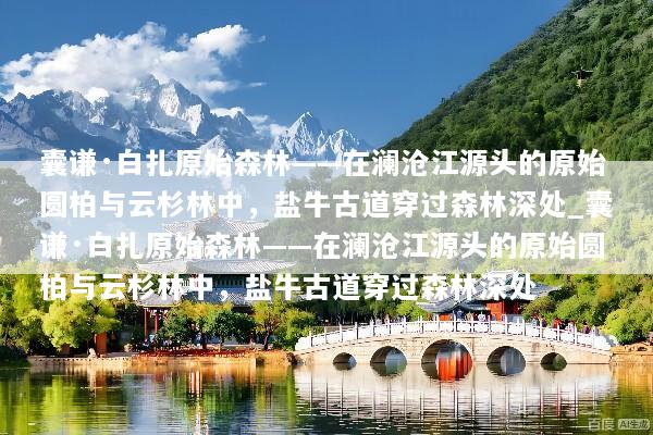 囊谦·白扎原始森林——在澜沧江源头的原始圆柏与云杉林中，盐牛古道穿过森林深处_囊谦·白扎原始森林——在澜沧江源头的原始圆柏与云杉林中，盐牛古道穿过森林深处