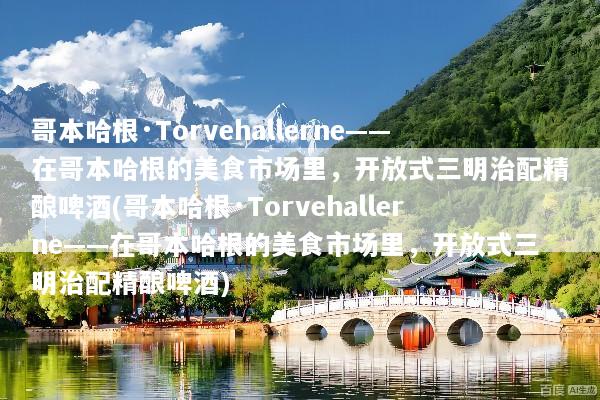 哥本哈根·Torvehallerne——在哥本哈根的美食市场里，开放式三明治配精酿啤酒(哥本哈根·Torvehallerne——在哥本哈根的美食市场里，开放式三明治配精酿啤酒)