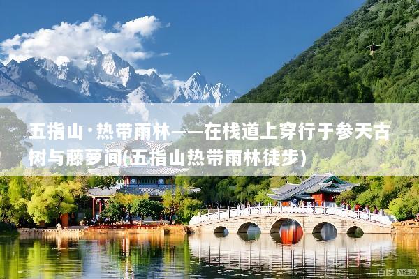 五指山·热带雨林——在栈道上穿行于参天古树与藤萝间(五指山热带雨林徒步)